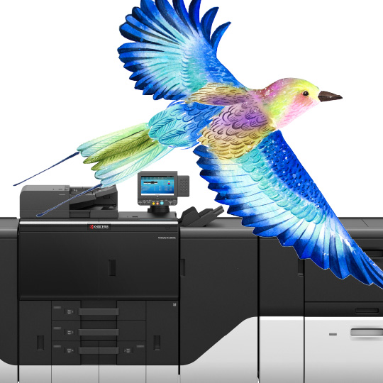 Get to know inkjet production printing!
