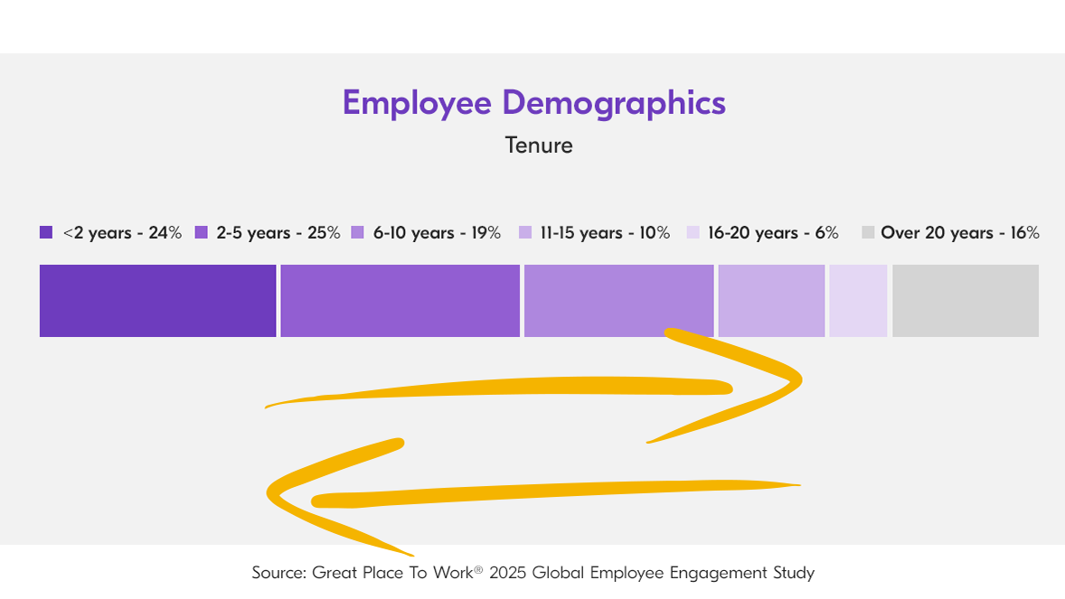 Employee Demographicby Tenure  Infographic