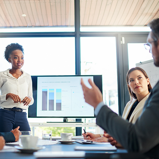 colleagues in a meeting